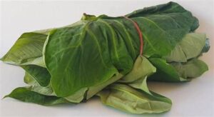 Child Nutrition in Ghana