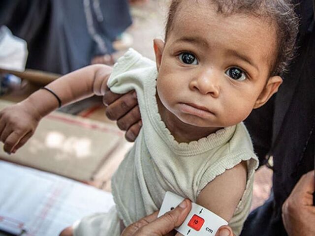 Best Foods for Toddlers: A Complete Guide to Healthy Eating for Young Children