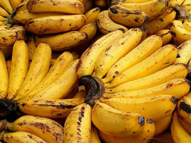 Best Foods for People with Ulcers: Diet Guide for Fast Healing